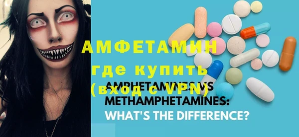 шишки Богородицк