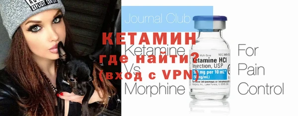 шишки Богородицк