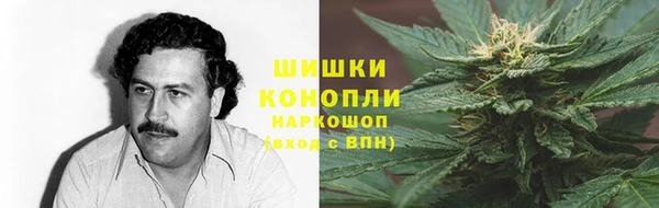 шишки Богородицк