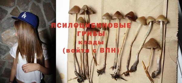 шишки Богородицк