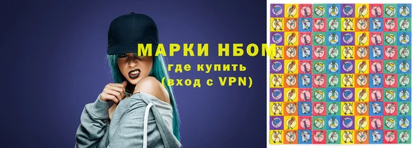 шишки Богородицк