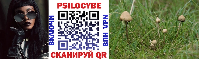 Псилоцибиновые грибы Magic Shrooms  Качканар 